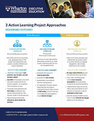 Action Learning Project Approaches