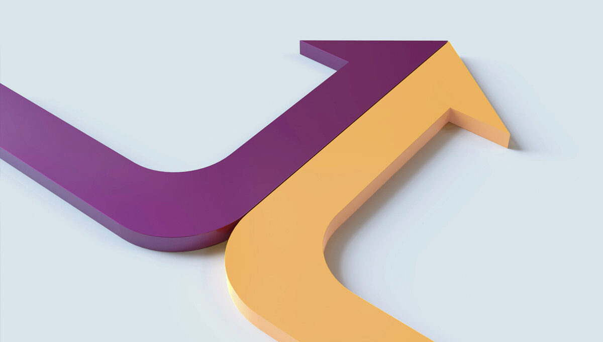The Growth Equation: Avoid Customer-Segment Collisions